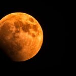 pexels-photo-1276314-1276314.jpg