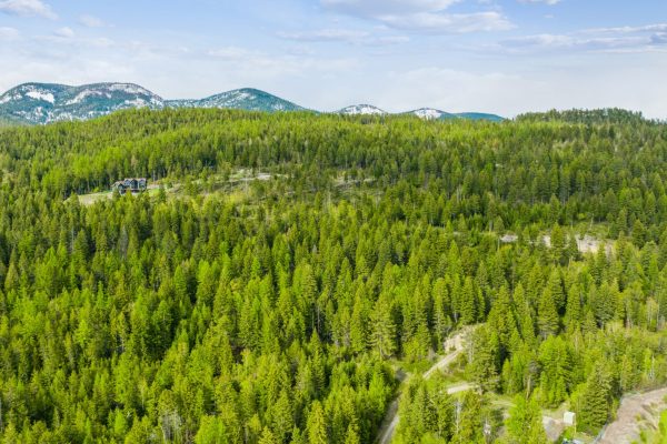 02_201WhitefishLookoutRoad_181001_AerialView_HiRes