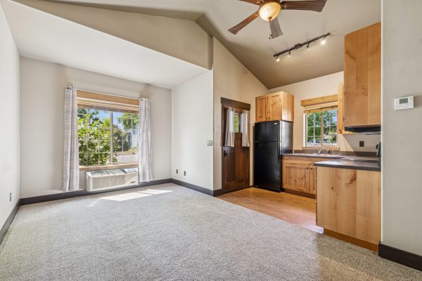 Living Room and Kitchen