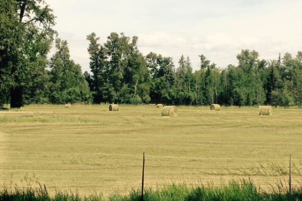 Hay bales and fence on Whitefish property listing