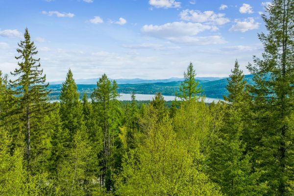 13_201WhitefishLookoutRoad_181012_AerialView_HiRes