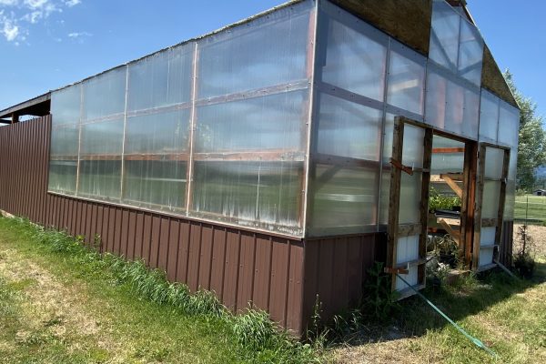 20x24 Greenhouse