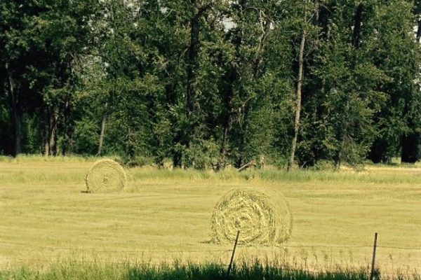 Hay bales on Whitefish property listing