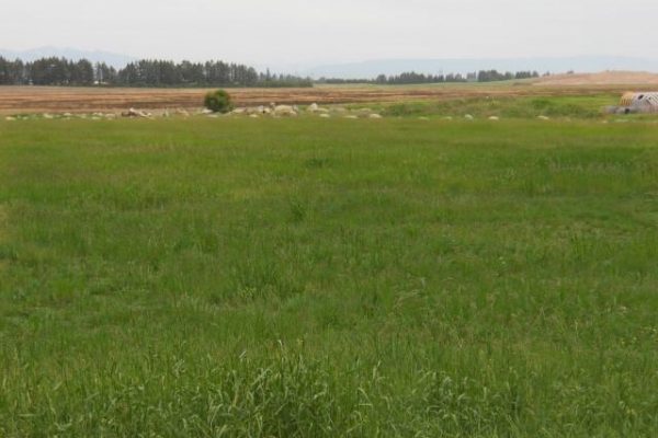 View of property for sale near highway Whitefish